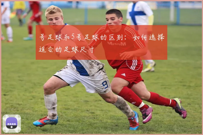 号足球和5号足球的区别:如何选择适合的足球尺寸