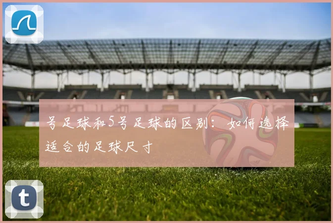 号足球和5号足球的区别:如何选择适合的足球尺寸